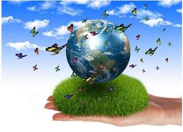 带一个鸿字的公司起名,好名字推荐