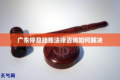 广东停息挂账法律咨询如何解决