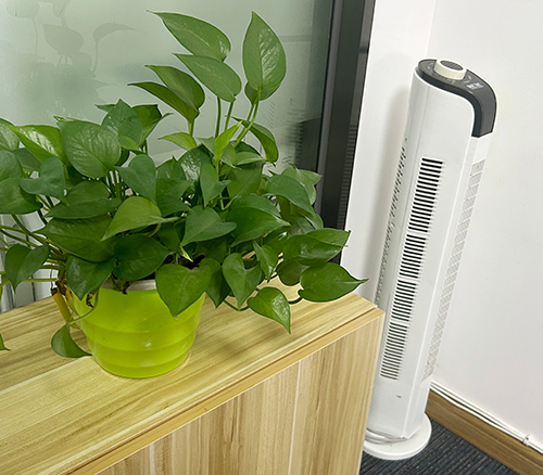 家具公司起名测试