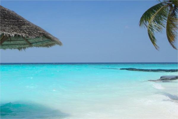 蔬菜公司名字起名大全 蔬菜企业取名大全