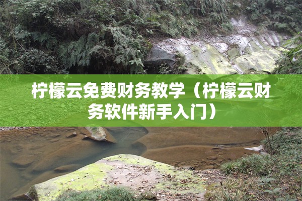 柠檬云免费财务教学（柠檬云财务软件新手入门）