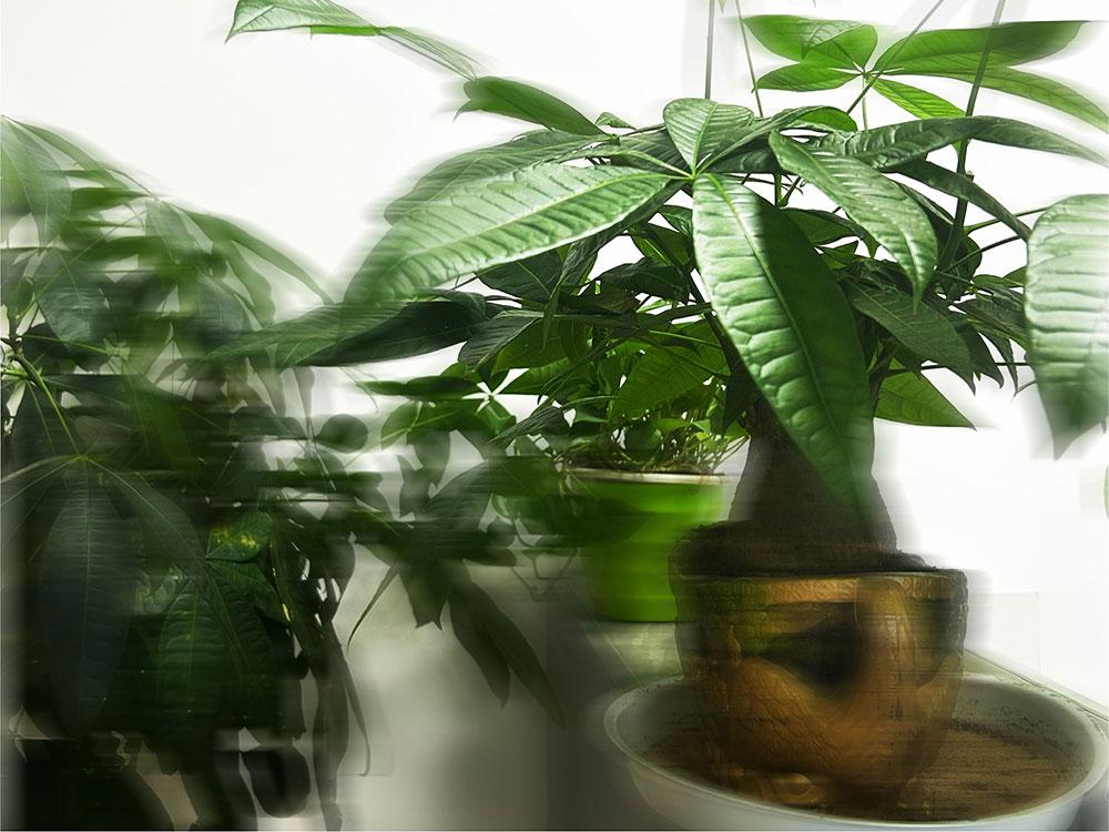 工商年检忘记报了怎么处理异常