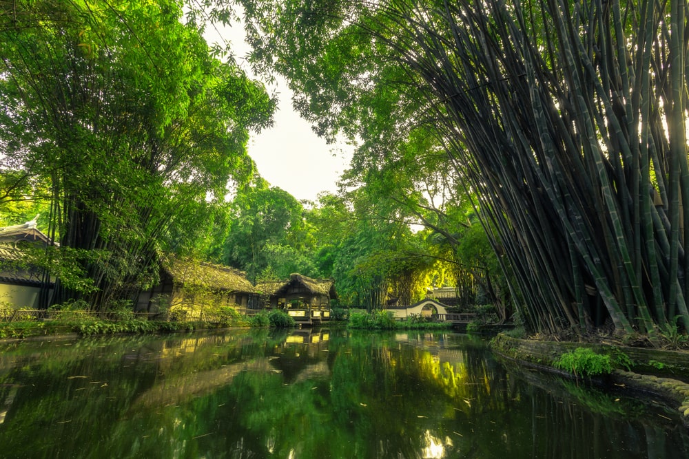 成都必去景点9:杜甫草堂