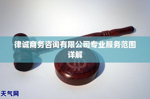 律诚商务咨询有限公司专业服务范围详解