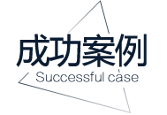 成功案例