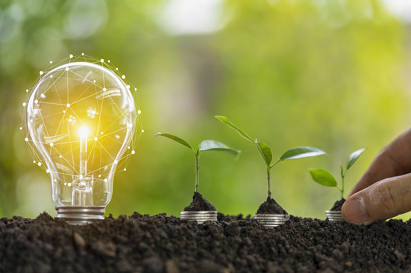 灯泡与树，生长概念图片下载