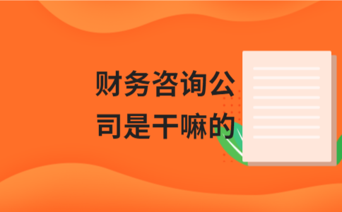 财务咨询公司是干嘛的