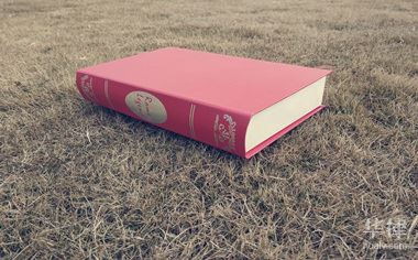 注册集团公司要什么条件