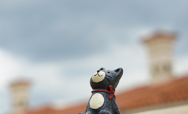 无人机公司经营范围(5个范本)