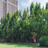 河南公办的 河南省外贸中专学校宿舍是几人间