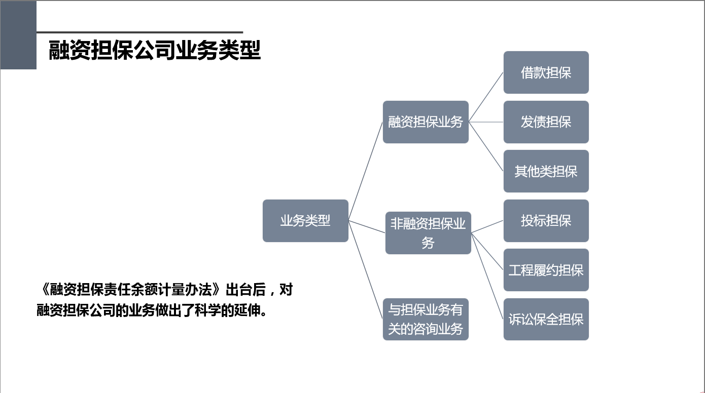 融资担保公司的经营范围有哪些