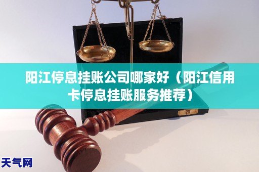 阳江停息挂账公司哪家好（阳江信用卡停息挂账服务推荐）