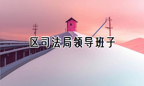 区司法局领导班子
