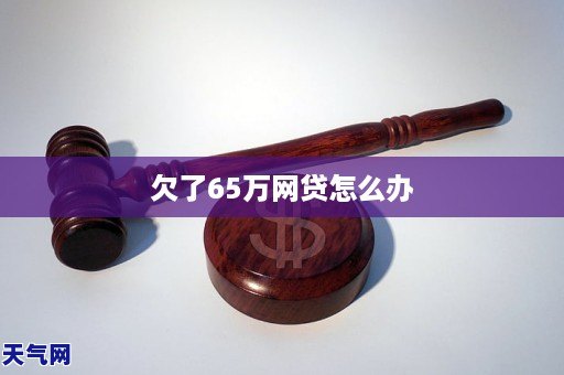 欠了65万网贷怎么办