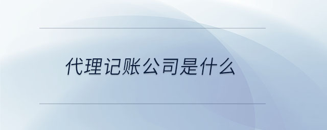 代理记账公司是什么