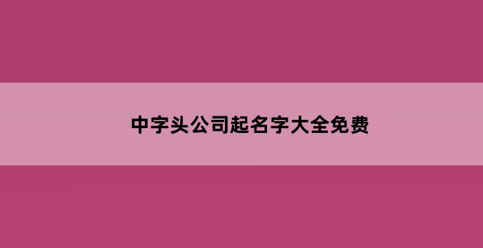 中字头公司名称大全起名免费（中字公司名字大全）